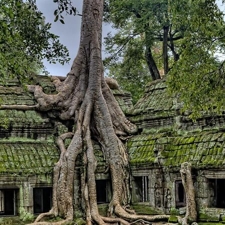 Golden Temple Residence Siem Reap Ngoại thất bức ảnh Banteay Srei