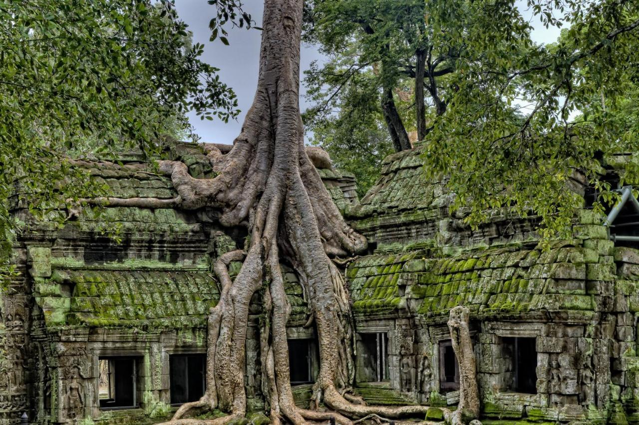 Golden Temple Residence Siem Reap Ngoại thất bức ảnh Banteay Srei
